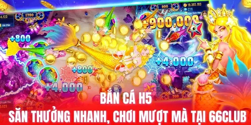 Trang web của Vin77 có thông tin về tất cả các khu cắm trại - Vin77