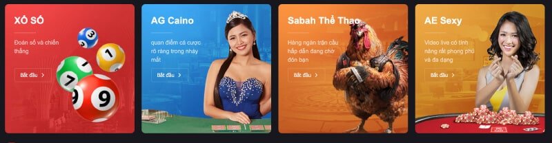 Vn88 cung cấp rất nhiều ưu đãi và chương trình khuyến mãi hấp dẫn, chỉ có tại đây - Vn88