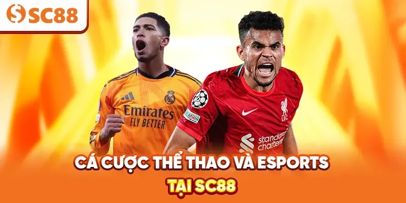 Các hoạt động quảng bá của trang web game Hello88 Hthai88 - Hello88