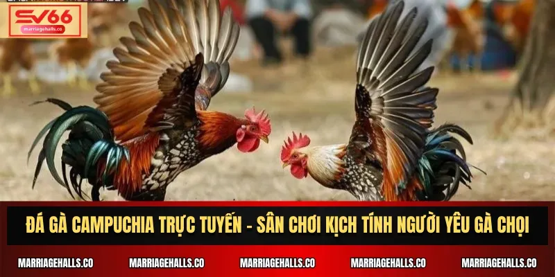 Vesovn có chương trình giảm giá đặc biệt - Vesovn