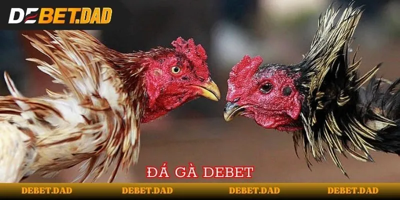 Đánh giá game trên website ở cấp độ Fabet, các chương trình khuyến mãi và giảm giá game - Fabet