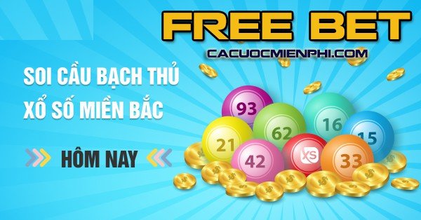 Lý do nên chọn cá cược bóng chuyền cấp độ Tp88 - Tp88