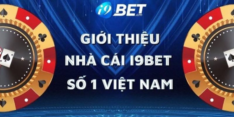 Tại sao tên miền Vg99 lại có nhiều liên kết cấp hai đến vậy? - Vg99