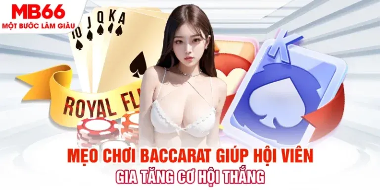 Nền tảng cá cược di động cấp độ Betway - Betway