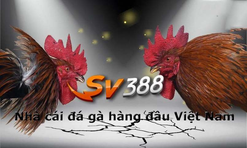 Chính sách bảo mật của Fcb88 đáng được tôn trọng - Fcb88