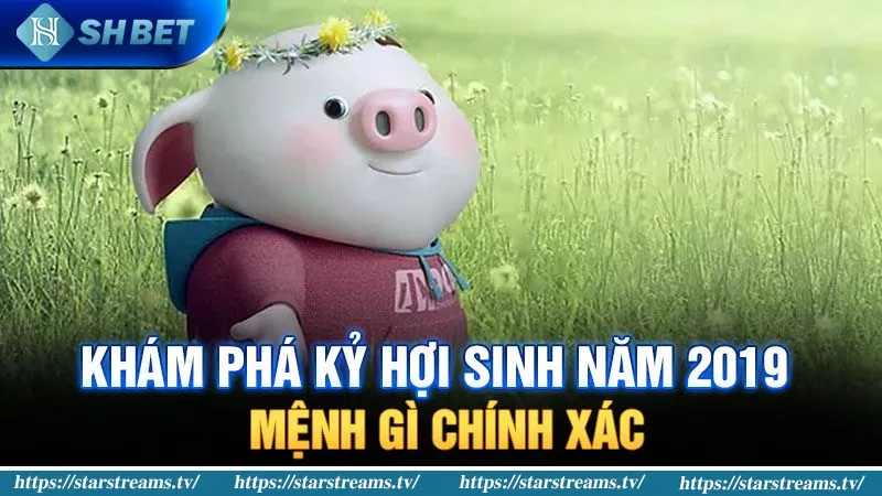Tất cả các hoạt động quảng bá của St666 - St666