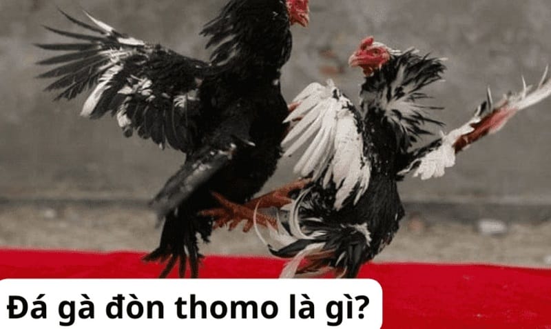 Hướng dẫn giao dịch nạp/rút tiền F8bet - F8bet