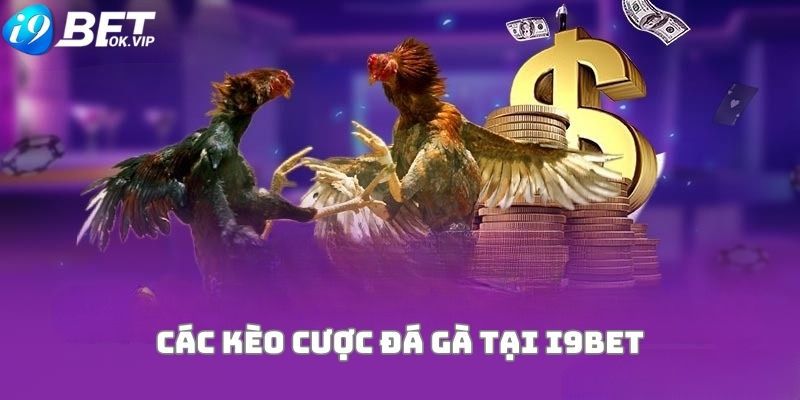 Ngân hàng Fv88 cung cấp dịch vụ gửi và rút tiền nhanh chóng - Fv88