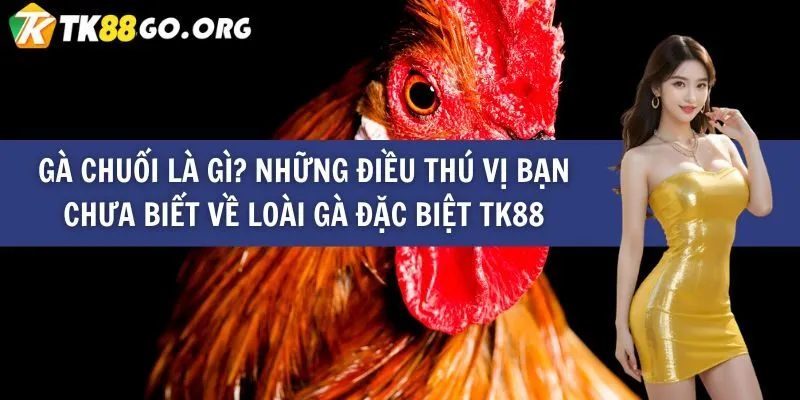 Điều gì làm cho các sản phẩm 66Vn trở nên khác biệt? - 66Vn