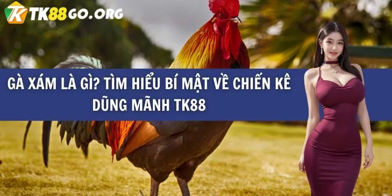 Điều gì khiến Hitclub trở nên độc đáo so với các trang web cá cược khác, giúp nó thu hút người chơi mỗi ngày? - Hitclub